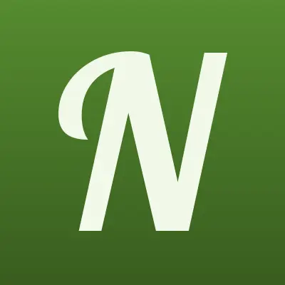 Nails Team, магазин, лого-визитка